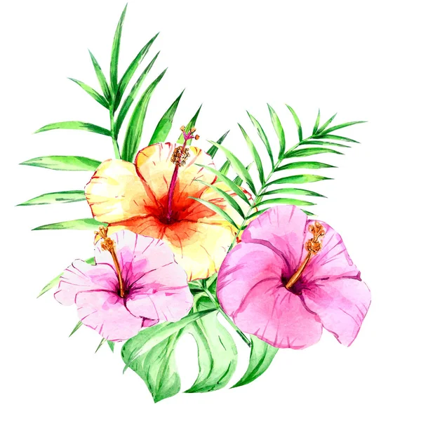 Suluboya boyalı tropikal çiçekler, beyaz bir arka planda izole. kompozisyon ve baskı için, kartpostallar — Stok fotoğraf