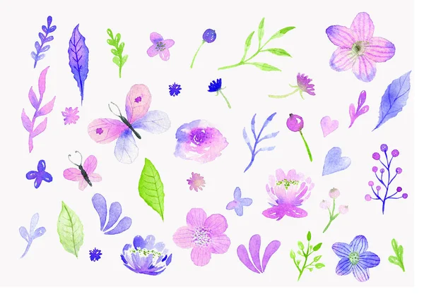 Conjunto Elementos Florales Dibujados Mano Acuarela Isoated Sobre Fondo Blanco — Foto de Stock