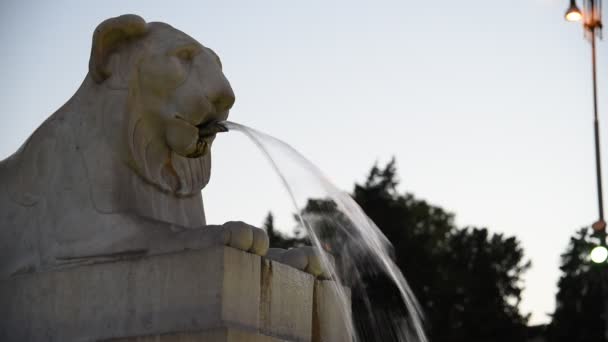 Fountain Lions Peapole Square Rome — Stock Video