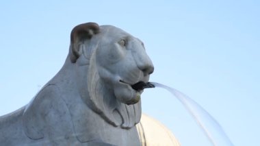Roma Peapole meydanında aslan Çeşmesi