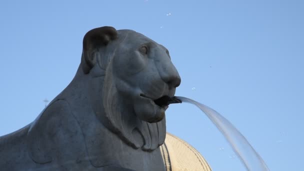 Fountain Lions Peapole Square Rome — Stock Video