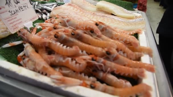 毎日新鮮な製品とローマの魚市場 — ストック動画