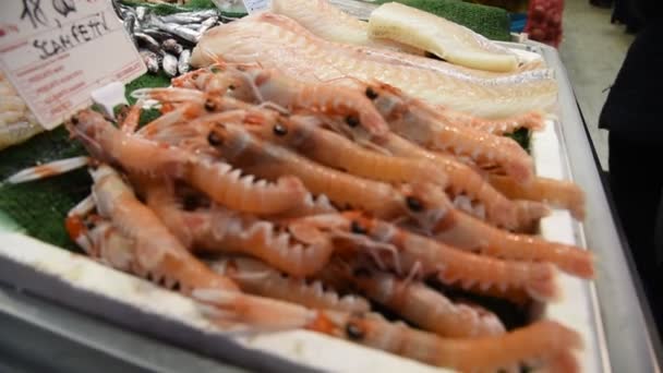 Marché Aux Poissons Quotidien Rome Avec Des Produits Frais — Video