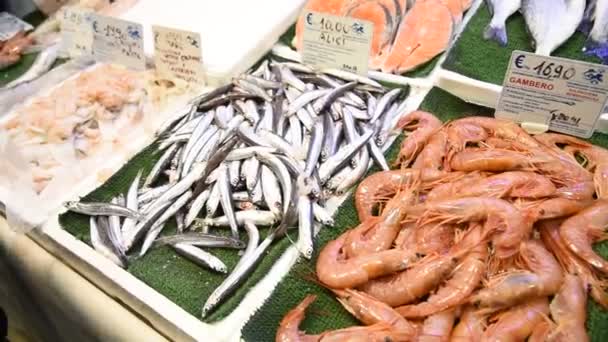 Daily Fish Market Rome Fresh Product — Stock Video