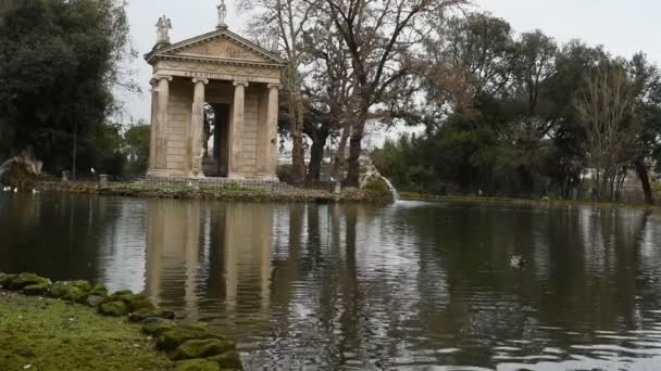 Libák Kacsák Lake Villa Borghese Róma Turisták Által Táplált — Stock videók