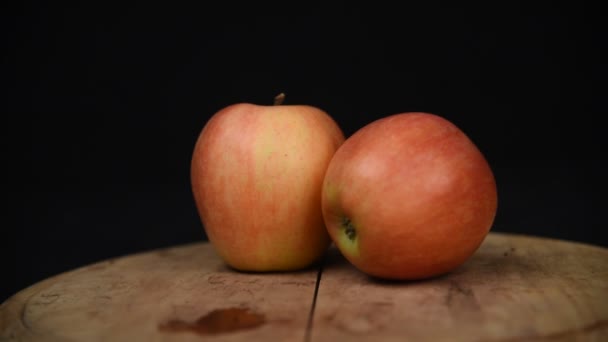 Fruta Sazonal Ainda Vida Estúdio Preto Fundo — Vídeo de Stock