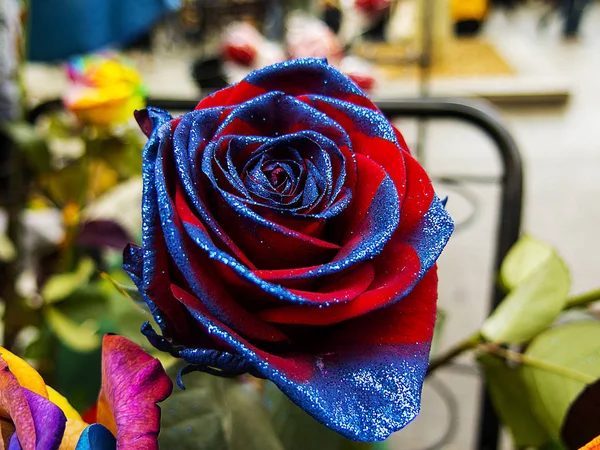 Red Rose Blue Glitter Decoration — Stock Photo, Image