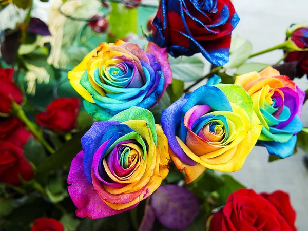 Rosas multicoloridas — Fotografia de Stock