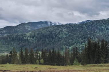 Yaz, yağmurdan önce, gökyüzü, bulutlar, bulutlar, dağlarda, ilkbahar, doğa, manzara, köy, Karpatlar, Ukrayna, ağaç