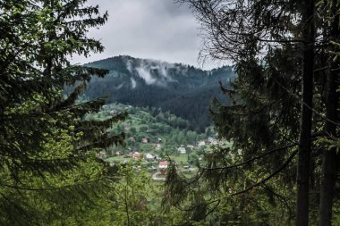 Yaz, yağmurdan önce, gökyüzü, bulutlar, bulutlar, dağlarda, ilkbahar, doğa, manzara, köy, Karpatlar, Ukrayna, ağaç