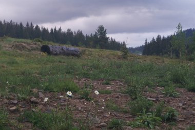 Yaz, yağmurdan önce, gökyüzü, bulutlar, bulutlar, dağlarda, ilkbahar, doğa, manzara, köy, Karpatlar, Ukrayna