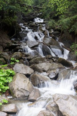                                Voldfall, dağ nehri, yaz, bulutlu gün