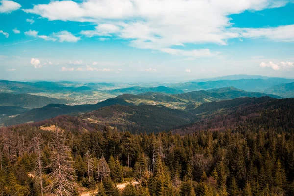 Schöne Sommerliche Berglandschaft Blauen Himmel Viele Große Weiße Wolken — Stockfoto