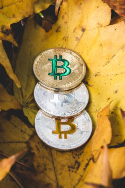 Sararmış kuru sonbahar yaprakları üzerinde cryptocurrency fiyat azaltma kavramını Bitcoins yalan