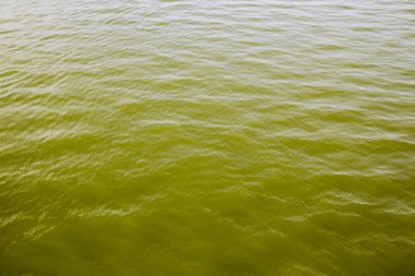 Yansımaları ile soyut dalgalı sıvı sarı arka plan