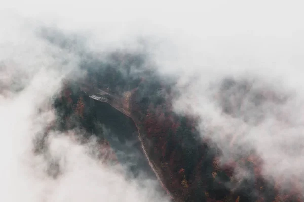 Río Entre Bosque Otoñal Niebla Vista Superior — Foto de Stock