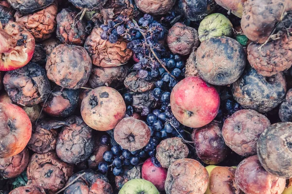 Yığını çürük elma ve üzüm, şımarık bir hasat kavramı