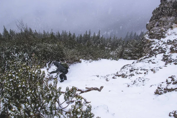 Viajero Solitario Desciende Invierno Montaña Nieve Niebla — Foto de Stock
