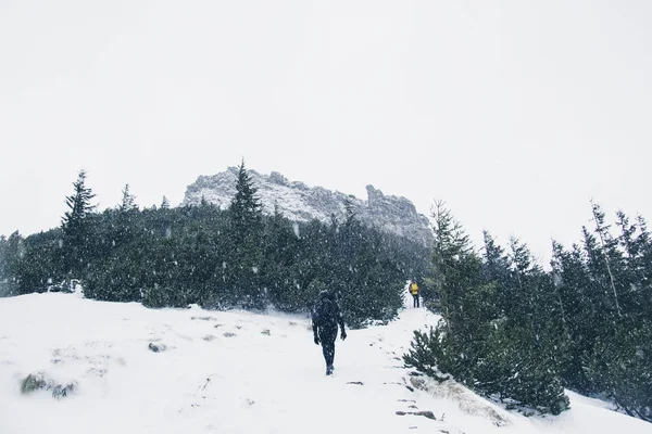 Two travelers climb the mountain in winter during a snow storm and fog