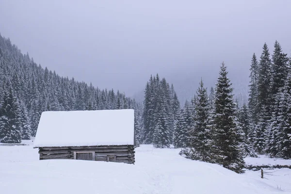 Ahşap ev standları bir karlı vadi, dağ içinde belgili tanımlık geçmiş ve karla kaplı çam ormanı siste