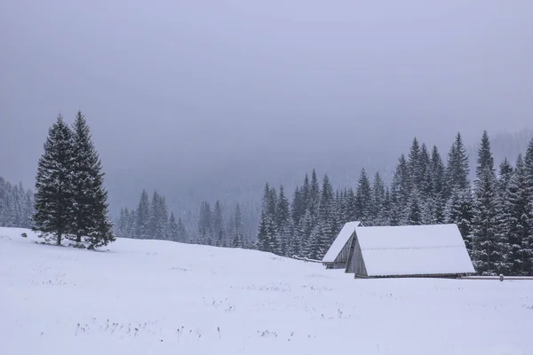 Casa Madera Encuentra Valle Nevado Una Montaña Fondo Bosque Pinos — Foto de Stock