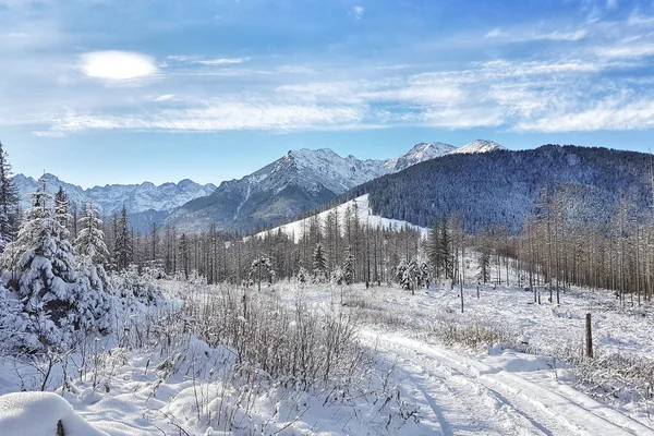 Piękne Górskie Doliny Pokryte Śniegiem Tle Góry — Zdjęcie stockowe