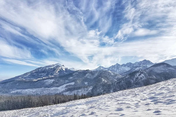 Piękna Panorama Doliny Pokryte Śniegiem Górami Tle — Zdjęcie stockowe