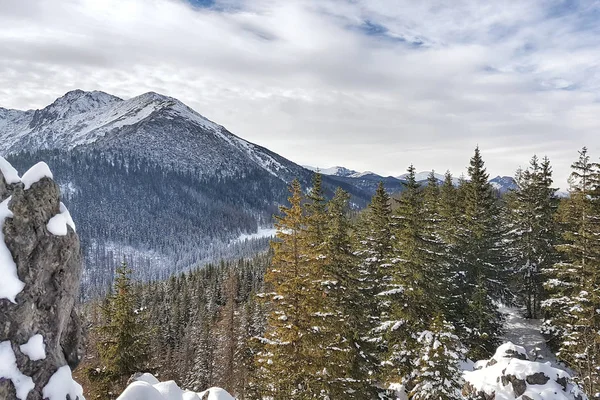 Piękna Panorama Gór Pokrytych Śniegiem — Zdjęcie stockowe