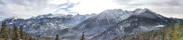 Hermoso Panorama Cordillera Cubierta Nieve —  Fotos de Stock