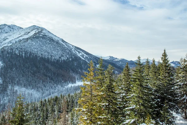 Piękna panorama śniegu objętych pasmo górskie — Zdjęcie stockowe