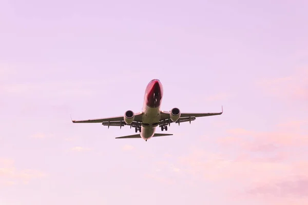 Um grande avião de passageiros decola contra um céu rosa — Fotografia de Stock