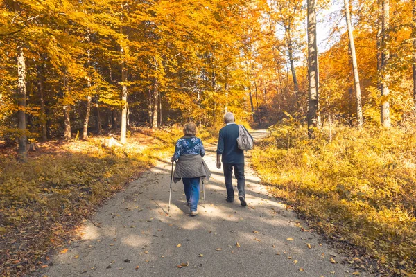 Två äldre människor som går i höst skogen Stockbild