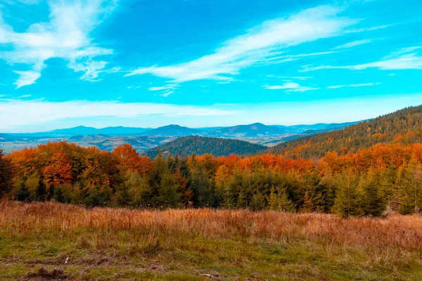 Höstens bergslandskap, gula-röda träd och blå berg — Stockfoto