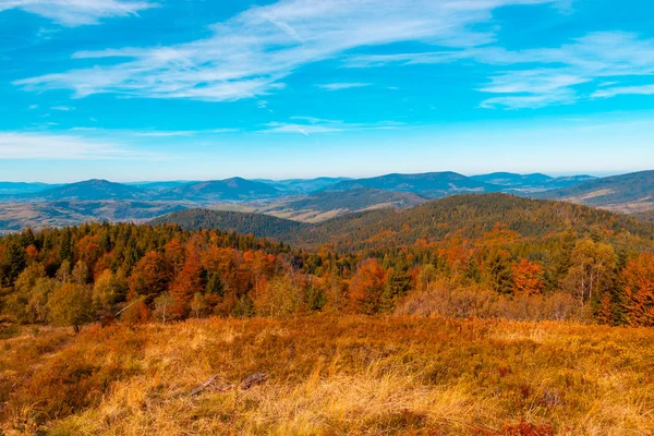 Paesaggio montano autunnale, alberi giallo-rossi e montagne blu — Foto Stock