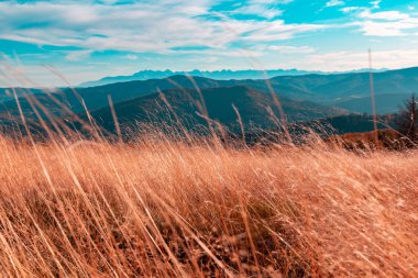 sonbahar dağ manzarası