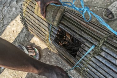 Karides yakalamak için kafes