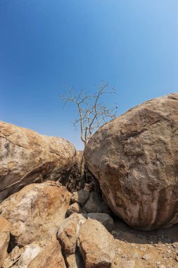 Bin yıllık dev taş Iona doğal park. Angola. Cunene.