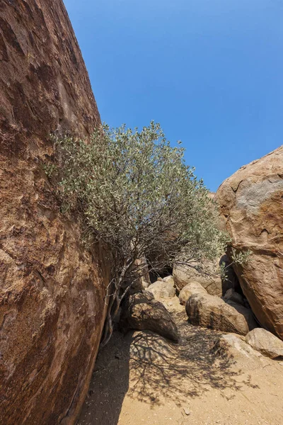 Jahrtausende Alte Steinriesen Naturpark Iona Angola Cunene — Stockfoto