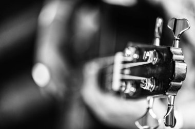 Klasik Portekiz gitar detayını. Fado için kullanılır. BW sürümü