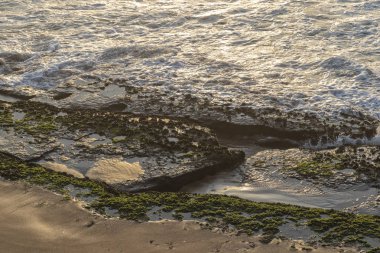 Gün batımı ile vahşi namibe plaj kıyısında deniz yosunu taşlarla. Afrika. Angola.