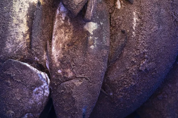 Djuphavsfisk Fångad Bara Med Sand Kostsamt Upp — Stockfoto