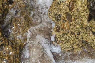 Namibe çöl plajda kayalar arasında geçen deniz suyu. Angola. Afrika.