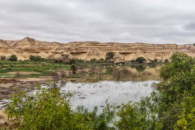 Namibe Arch genellikle 6 yılda bağlı olarak yağmur doldurur çölde bir vahadır. Angola. Afrika. Namibe