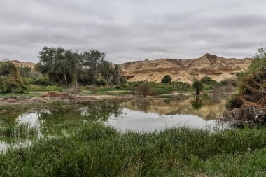 Namibe Arch genellikle 6 yılda bağlı olarak yağmur doldurur çölde bir vahadır. Angola. Afrika. Namibe
