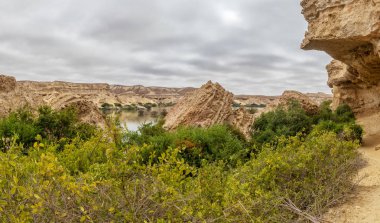 Namibe Arch genellikle 6 yılda bağlı olarak yağmur doldurur çölde bir vahadır. Angola. Afrika. Namibe