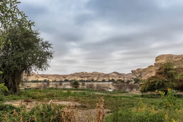 Namibe Arch Oasis Desierto Que Generalmente Llena Cada Años Dependiendo — Foto de Stock