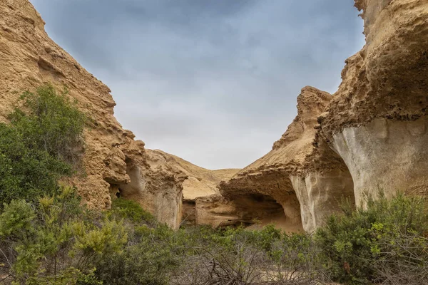 Namibe Arch Ist Eine Oase Der Wüste Die Sich Der — Stockfoto