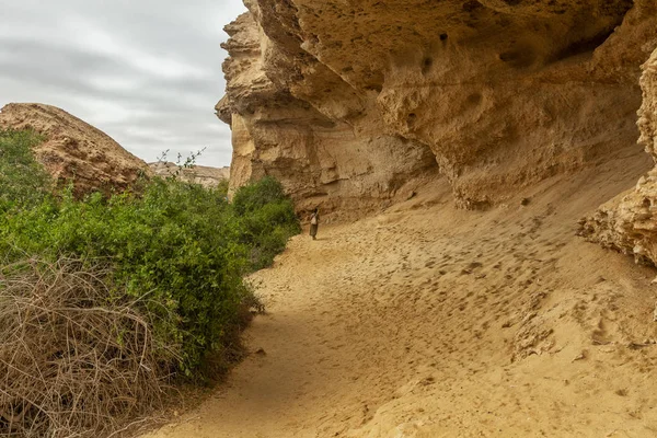 Namibe Arch Είναι Μια Όαση Στην Έρημο Που Συνήθως Γεμίζει — Φωτογραφία Αρχείου