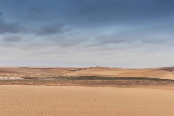 Vista Del Deserto Del Namibe Con Vegetazione Angola Africa — Foto Stock