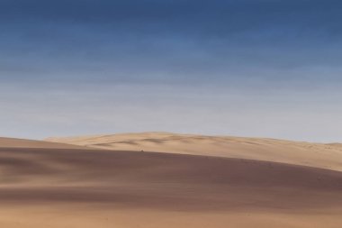 Namibe çöl dunes üzerinde çalışan springbocks grubu. Afrika. Angola.